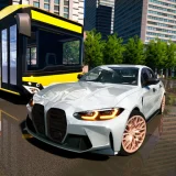 Driving School Simulator : EVO icon